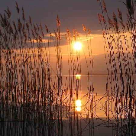 Balaton * Siofok