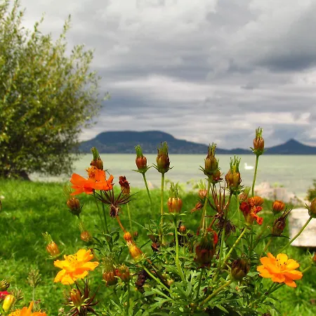 Balaton * 시오포크